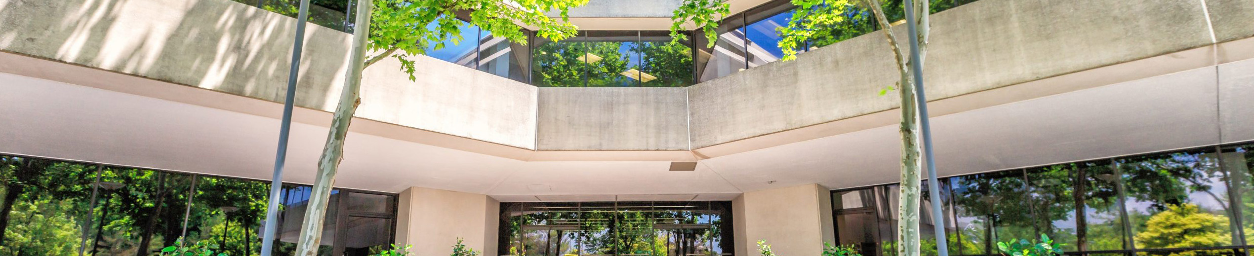 Attorneys Serving Westchester, White Plains, New York City, and All Surrounding Areas